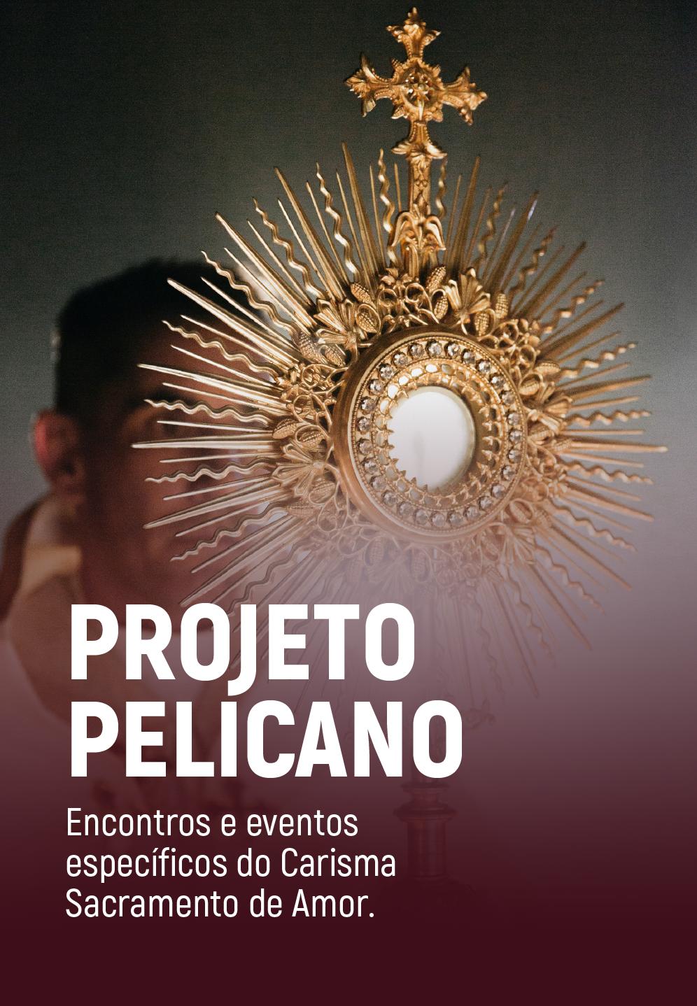 csicarrossel cópia 6