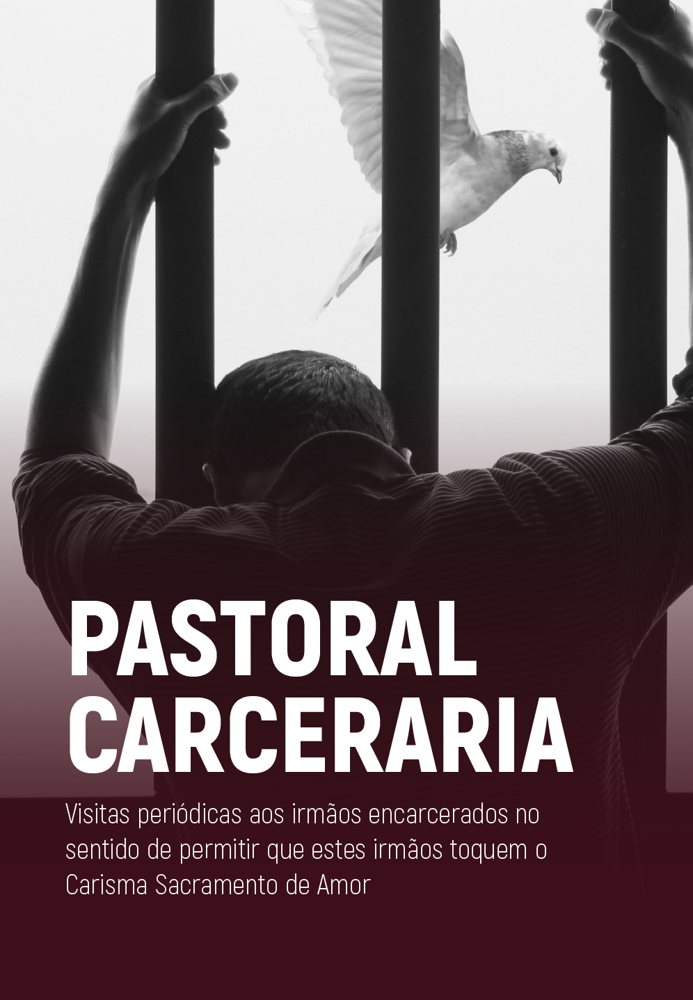 csicarrossel cópia 8